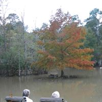 Charles Shultz Photo 18