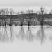Teresa Flood Photo 10