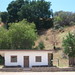 Sanford Foreman Photo 5