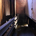 Corey Alley Photo 10