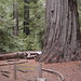Norma Grove Photo 14