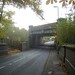 Preston Lea Photo 10
