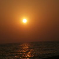 Mehmet Yuksel Photo 15