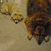 Josie Bailey Photo 15