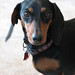 Brandy Henderson Photo 23