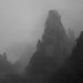 Hua Li Photo 31
