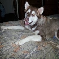 Stephen Yancey Photo 11