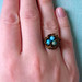 Robin Ring Photo 22