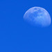 April Moon Photo 10