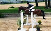 Paige Howell Photo 29