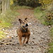 Ruby Hunt Photo 39