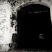 Emilio Forte Photo 12