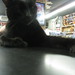 Archie Reed Photo 17