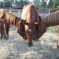 Jennifer Rathbun Photo 20