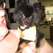 Brandy Mitchell Photo 23
