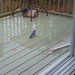 Jay Dawes Photo 14