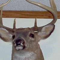 Dale Denney Photo 15