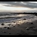 Ruthann Grey Photo 10