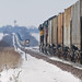 Thomas Ogle Photo 21
