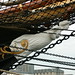 Lee Haswell Photo 10