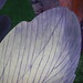 Debra Box Photo 12