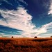 Mark Topf Photo 4