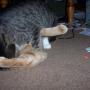 Elizabeth Timmons Photo 9