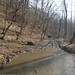 Randolph Webster Photo 10