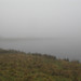 Misty Moss Photo 25