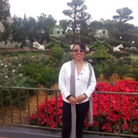 Susan Motta Photo 12