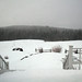 Mark Dewinter Photo 7