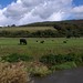 Andy Bullock Photo 17