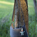 Julie Messenger Photo 9