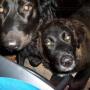 Karen Noble Photo 19