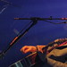 Gary Archer Photo 19