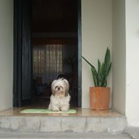 Patricia Arcila Photo 11