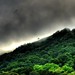 Cindy Hill Photo 17