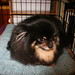 Cordelia Stone Photo 7
