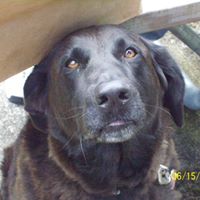 Nancy Fitts Photo 8