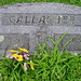 William Gallagher Photo 51