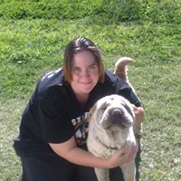 Kristy Power Photo 14