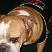 Cindy Haley Photo 32