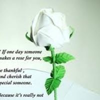 Bj Robertson Photo 19