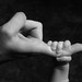 Kathleen Hand Photo 20