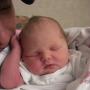 Elizabeth Pickett Photo 31