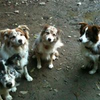 Debbie Tarr Photo 16