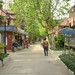 Kathy Lu Photo 18