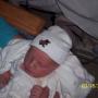 Michael Gribble Photo 17
