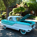 Harold Nash Photo 33