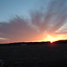Virginia Hundley Photo 10